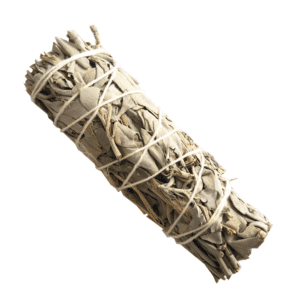 Salvia Blanca de California (4 pulgadas)