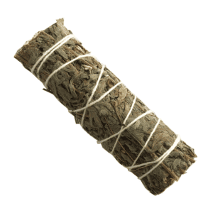 Albahaca Limón (4 pulgadas)