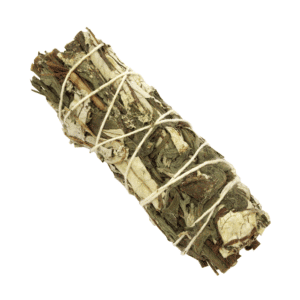 Hierba Santa + Artemisia (4 pulgadas)