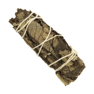 Hierba Santa Negra (4 pulgadas)