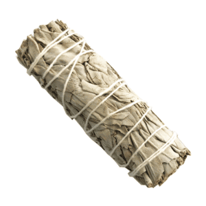 Salvia Blanca + Salvia del Desierto (4 pulgadas)