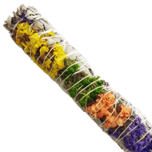 Salvia Blanca + Sinuata de Colores (9 pulgadas)