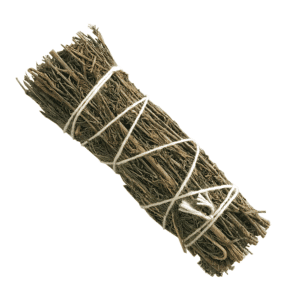 Salvia del Desierto (4 pulgadas)