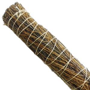 Salvia del Desierto (9 pulgadas)