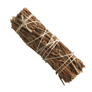 Salvia Real (4 pulgadas)