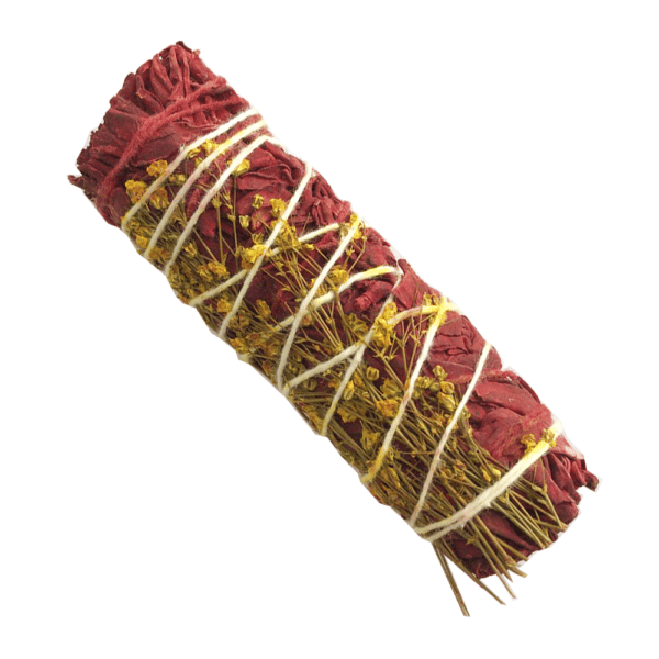 Sangre de Dragón + Flor Amarilla (4 pulgadas)