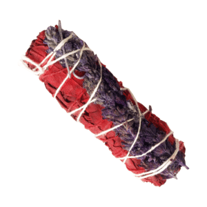 Sangre De Dragón + Sinuata Morada (4 Pulgadas)