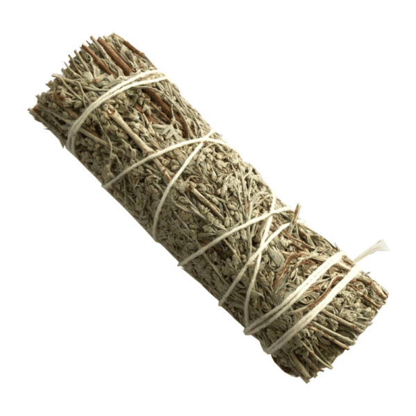 Silver King (4 pulgadas)