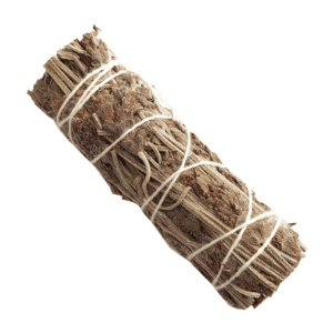 Silver King + Lavanda (4 pulgadas)