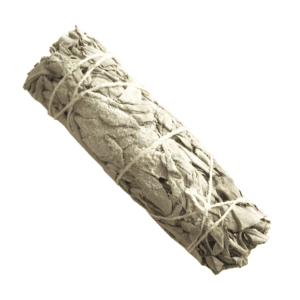 Salvia Blanca + Copal (4 pulgadas)